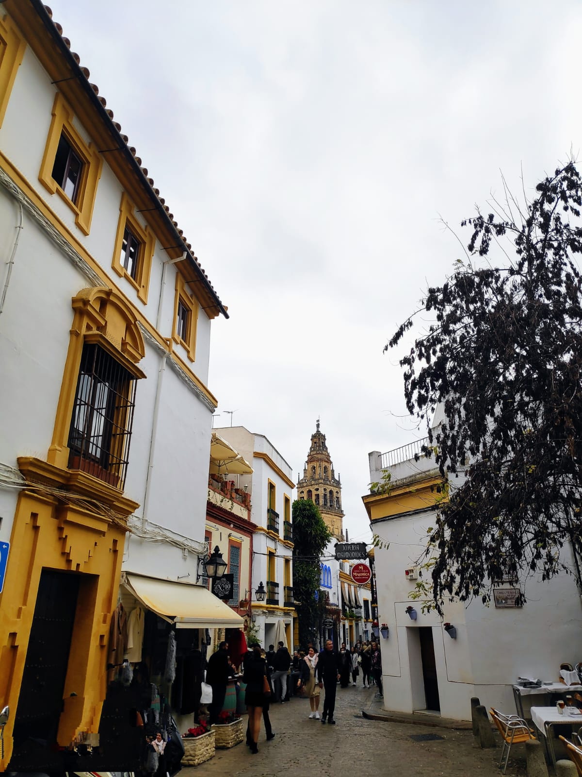 5 Best Attractions In The Cultural Capital of Córdoba