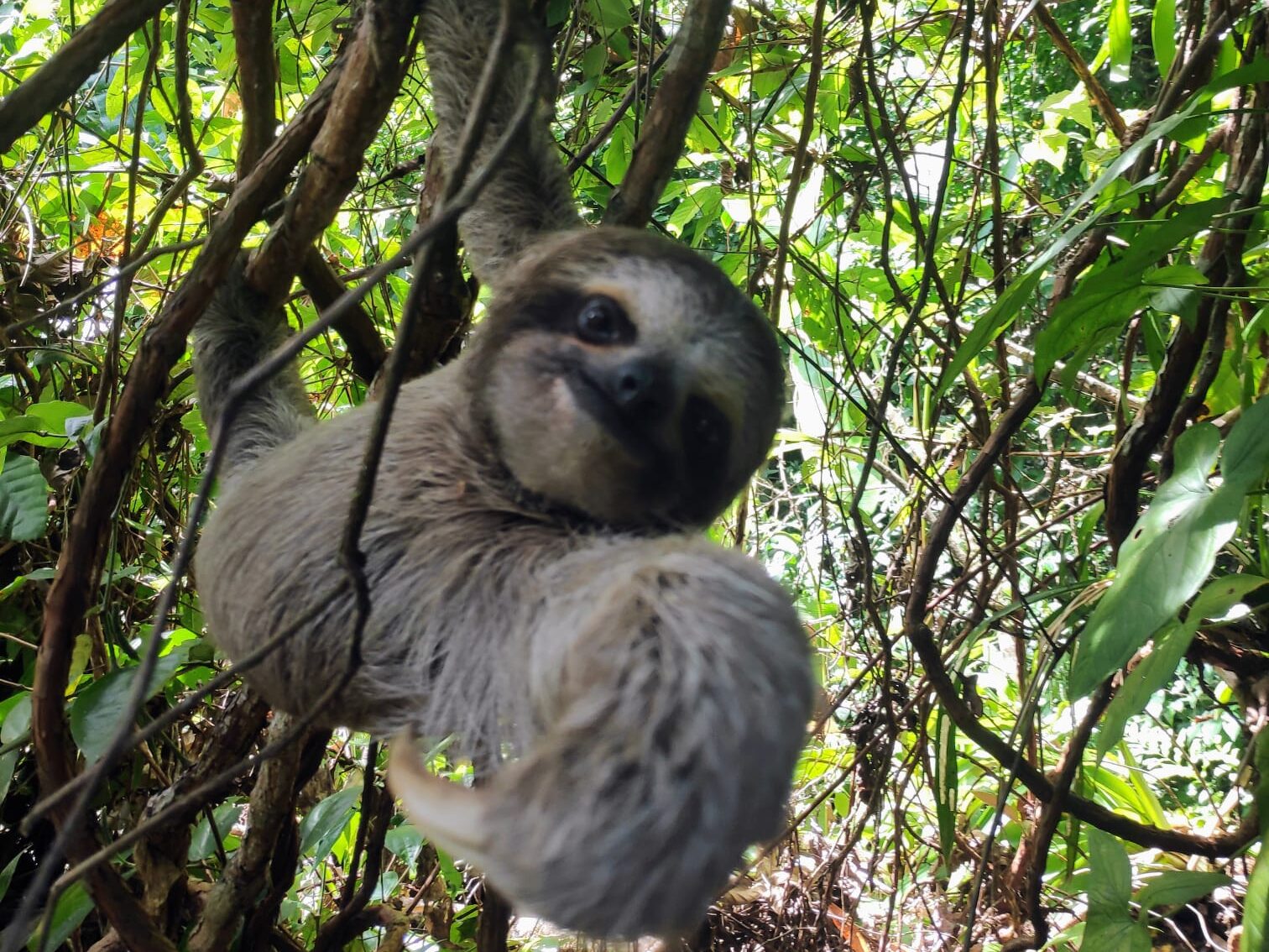 How To Maximize Your Time In Bocas Del Toro